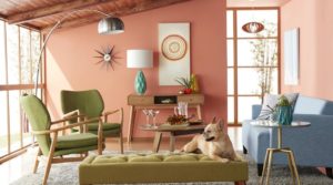 How to safely decorate your home when you have pets